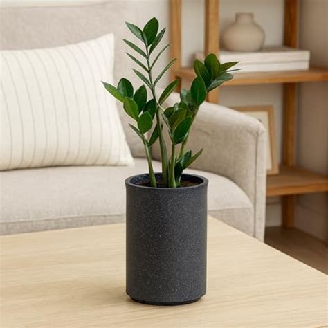 BonKaso 18 Inch Cylinder Tower Planter Pot (30x30x45 cm) | Dark Grey ...