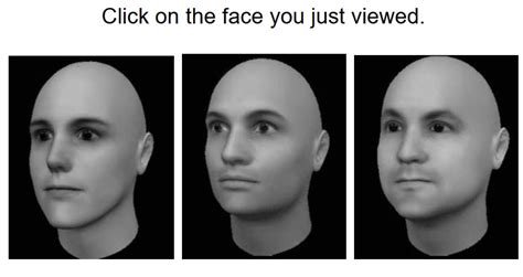 Image result for Face Blind Test