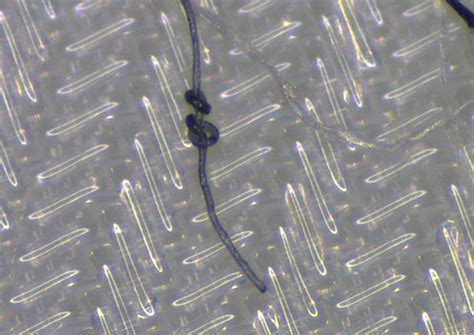 VDA 19.1 & ISO 16232: standards for technical cleanliness verification