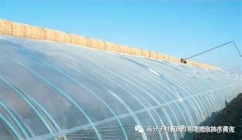 Image result for Alien Cyber World
