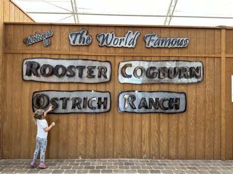 Rooster Cogburn Ostrich Ranch near Tucson - Phoenix With Kids