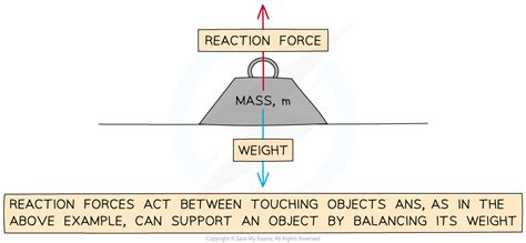 Force Types 的图像结果