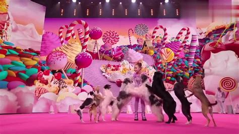 狗狗视频表演搞笑视频跳舞，这是全世界最好的狗狗表演吧_腾讯视频