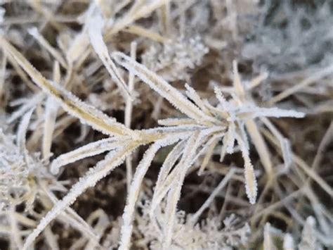 North India Snowfall & Rain: UP-MP & 5 States See Precipitation ...