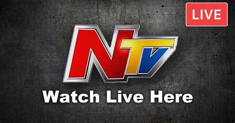 NTV News NL Live 的图像结果