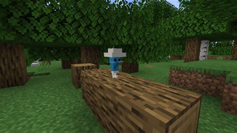 Image result for How Do Command Blocks Work in Minecraft