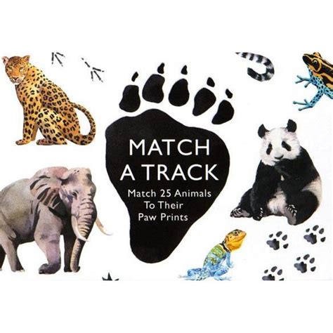Image result for Match a Track Memory Game