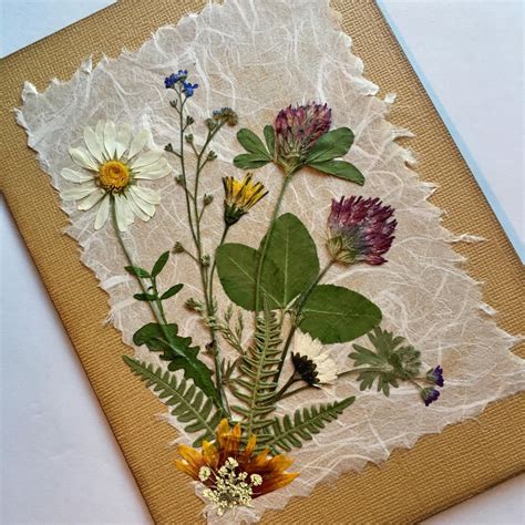 How To Make Dried Pressed Flowers : Easy, low prep, and perfect for ...