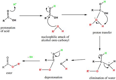 Carboxylic Acid