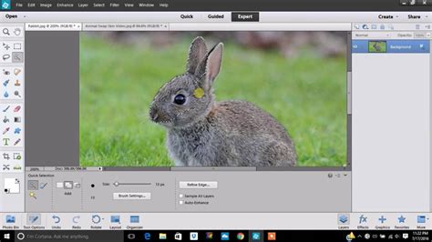 PEN TOOL in Photoshop Elements! - YouTube