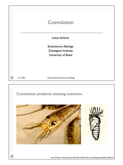 Image result for Coevolution 3rd Year PDF