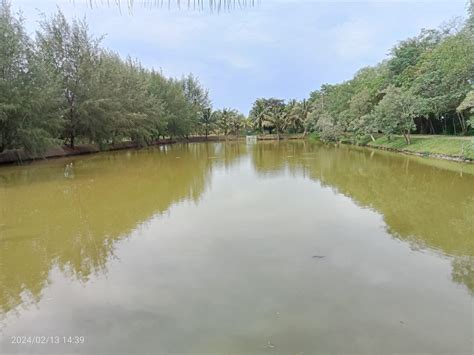 Image result for Fish Breeding