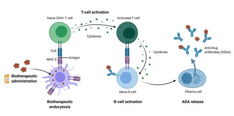 Anti-Drug Antibody Assays with Next Generation Protein Sequencing