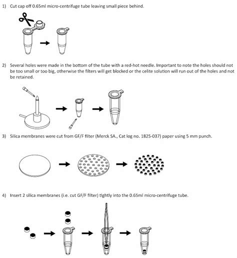 Comparison of DNA Extraction Methods for the Direct Quantification of ...