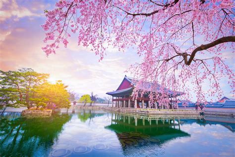 South Korea weather in February | Sunheron