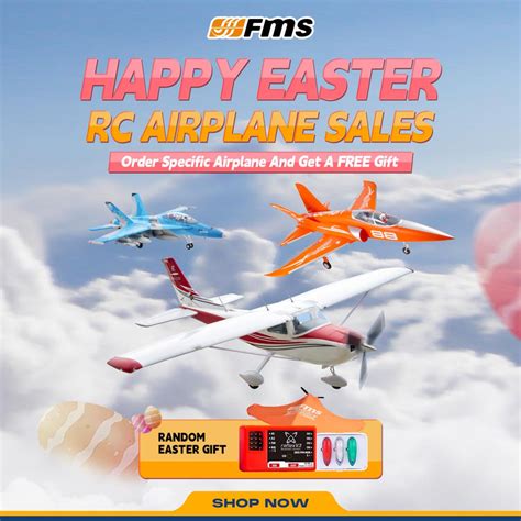 Image result for FMS Model Planes