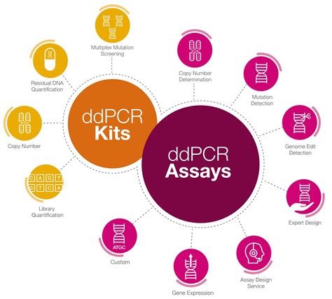 Image result for Digital PCR Tutorial