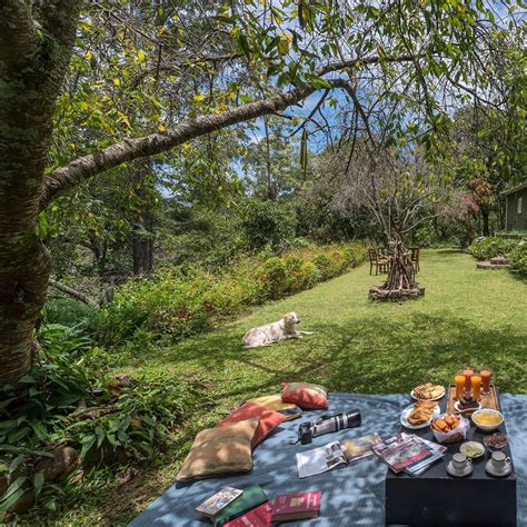 Where to stay next: our list of the best hotels, homestays, resorts in ...
