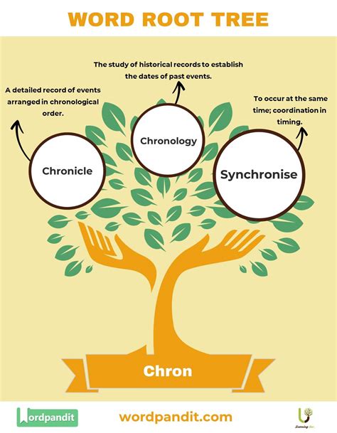 The 'Chron' Word Root - Meaning, Definition, and Examples