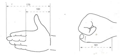 Shakshat Virtual Lab