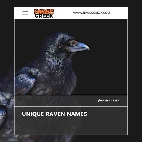 Raven Name Meaning