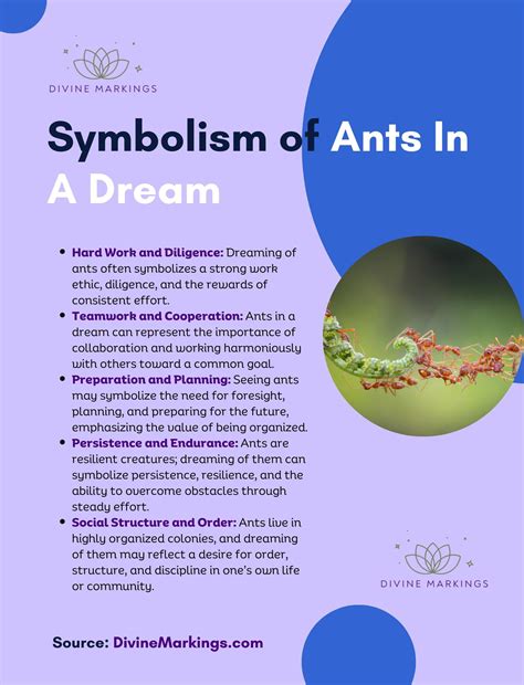 Biblical Meaning of Ants in Dreams