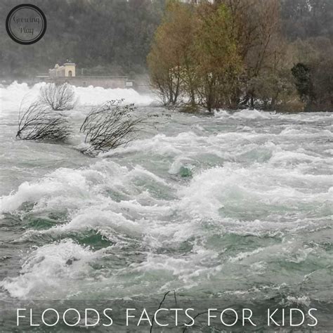 floods facts for kids Archives - Growing Play