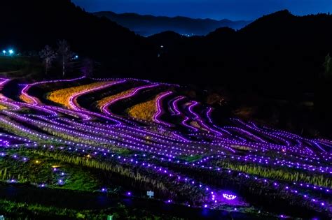 Image result for Network Visualization Program