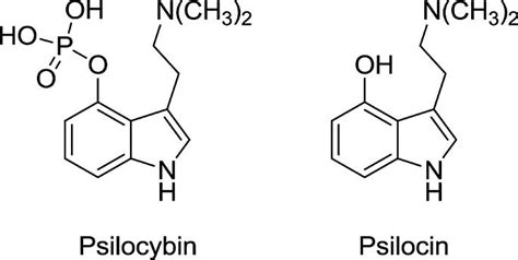 International Psilocybin Science Conference, Wyndham Garden Ann Arbor ...