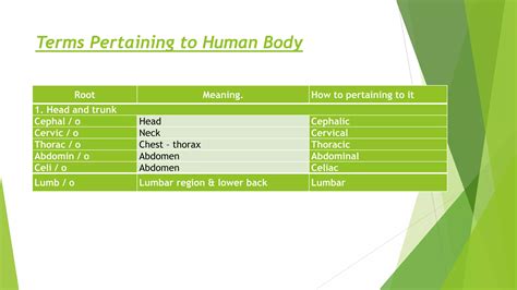 Lecture 1 introduction to medical terminology | PPTX