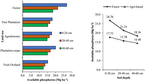 Prioritizing Tree-Based Systems for Optimizing Carbon Sink in the ...