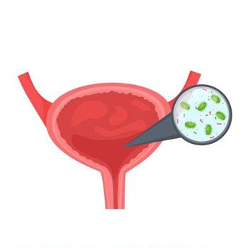 Urology Hospital in Gudivada | General Surgery Hospital in Gudivada ...