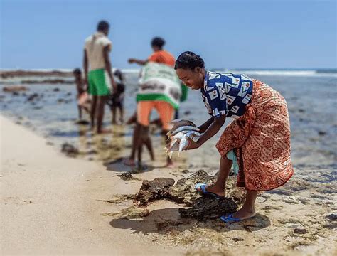 Local Development Initiatives 的图像结果