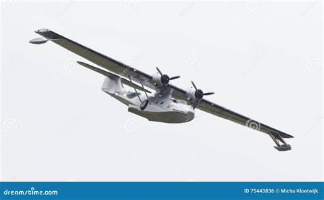 Image result for Dutch PBY