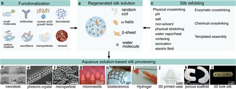 Image result for Silk Polymerization