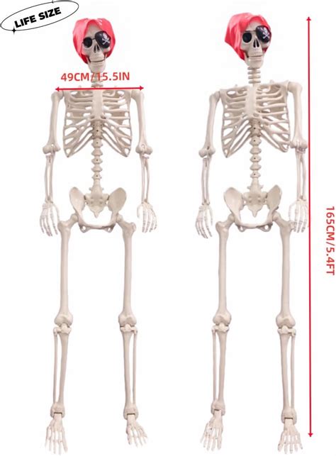 Aweilan 2Packs 5.4Ft Halloween Skeleton - Life Size India | Ubuy