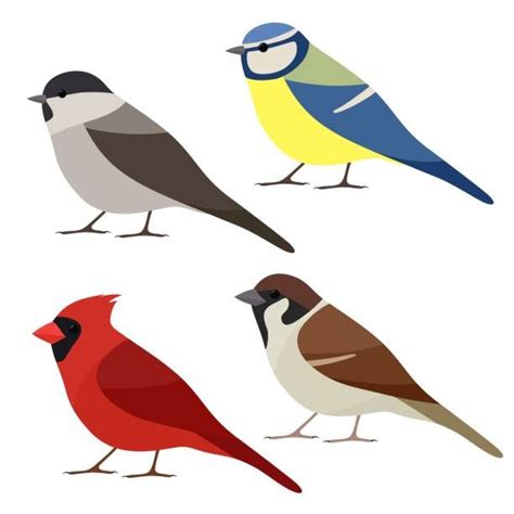 Image result for Variable Block Code in Color