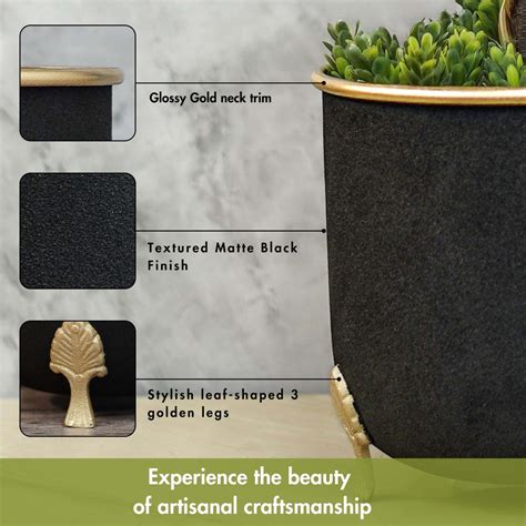 Buy Indoor Planters Pots Online | Best Planters Online in India – Page ...
