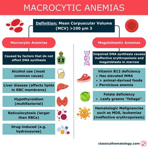 Causes and Classification of Anemias - Classical hematology