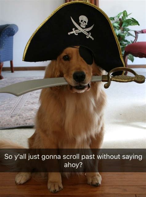 Shiver me timbers, I am a good boy : r/boottoobig