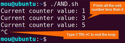 Image result for While True Example