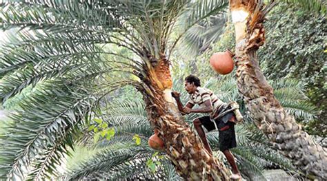Opportunity to earn money by making molasses in winter season, know the ...