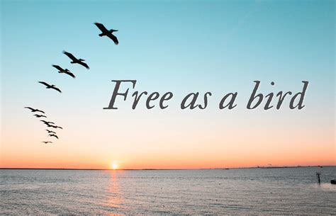 Add Text to Pictures Free 的图像结果