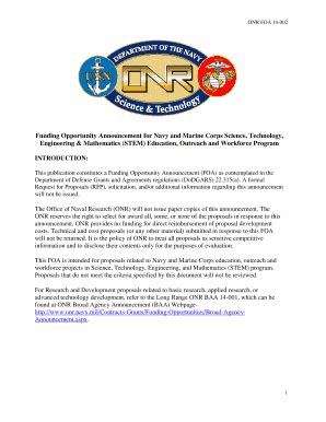 Fillable Online engineering uiowa Funding Opportunity Announcement for ...