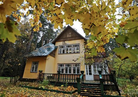 ПЕРЕДЕЛКИНО. ПРОГУЛКА ПО ГОРОДКУ ПИСАТЕЛЕЙ | Библиотека Хорошколы | Дзен