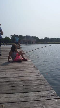 Outer Banks Center for Wildlife Education (Corolla) - 2021 What to Know ...