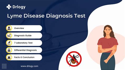 7 Fast and Reliable Lyme Disease Test for Diagnosis | Drlogy