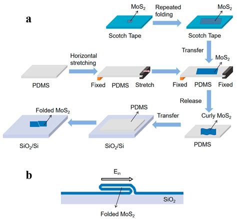 Deformation-Tailored MoS2 Optoelectronics: Fold-Induced Band ...