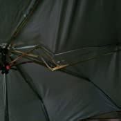 Popy Nylon Folding Umbrella (Silver, Black & White_mm3fold) : Amazon.in ...
