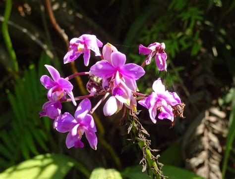 CENDRAWASIH EXPEDITION (Updated 2026) All You Need to Know BEFORE You ...